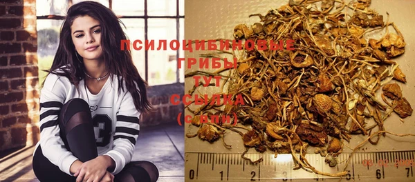 jwh Белокуриха