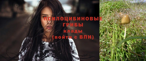 мескалин Балахна